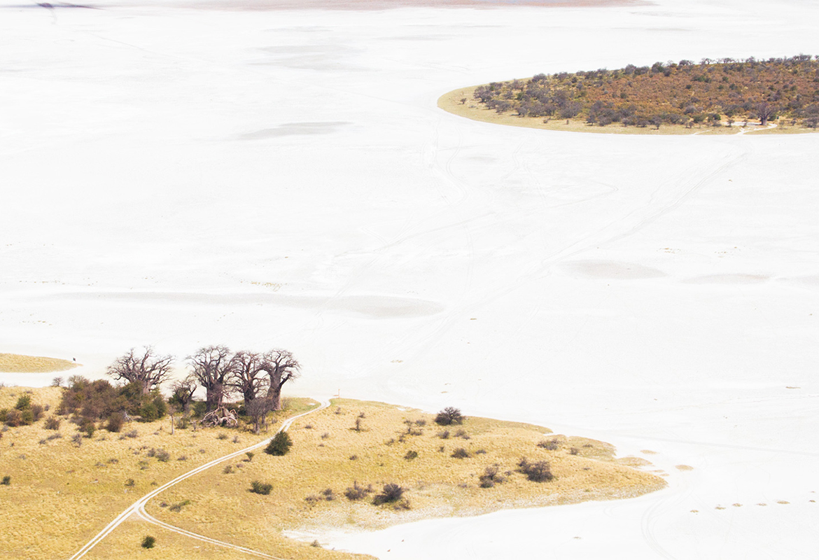 Makgakgadi and Nxai Pan National Parks